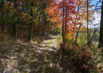 incredible flat ski/hike/bike trail around most of the old Mosquito Brook Flowage