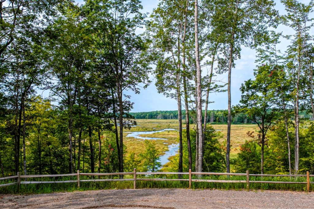 Scenic View